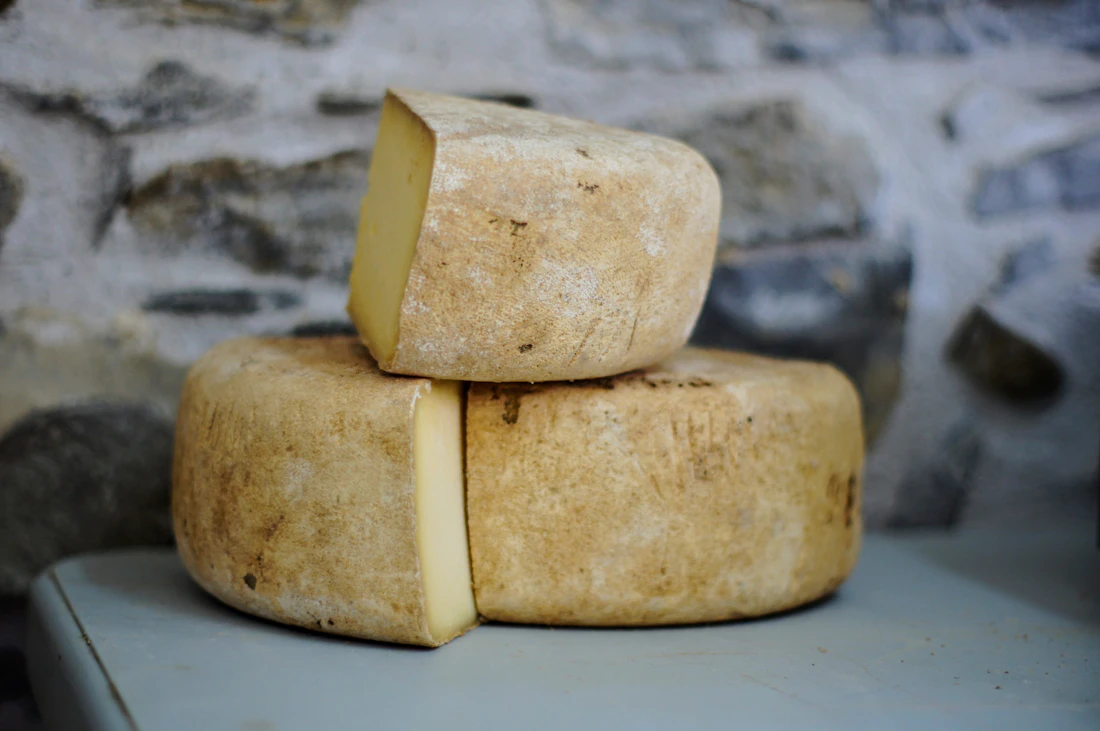 Wheels of pecorino cheese ageing on wooden shelves