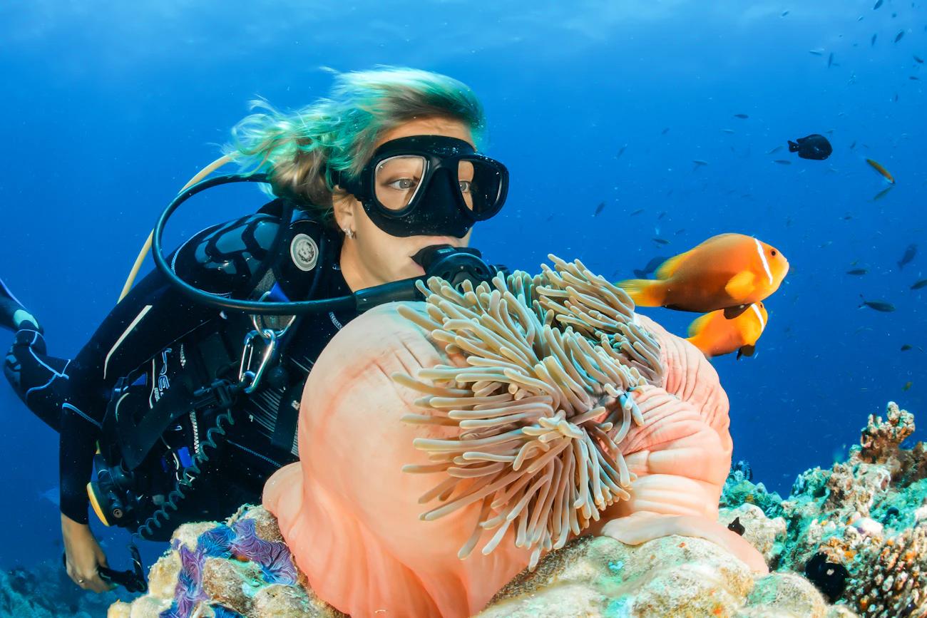 A snorkeller among fish in clear water