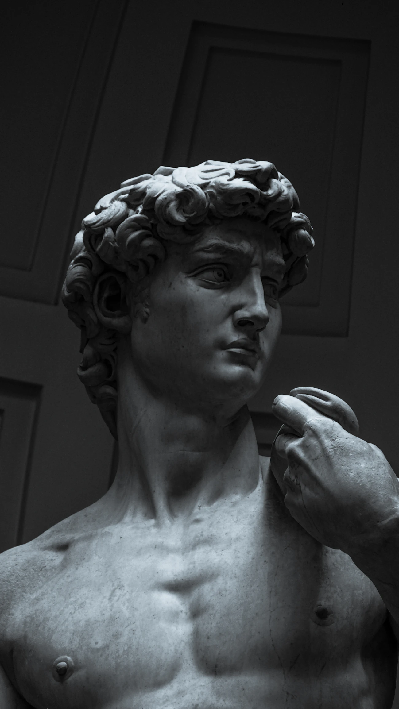 Michelangelo's David seen from below
